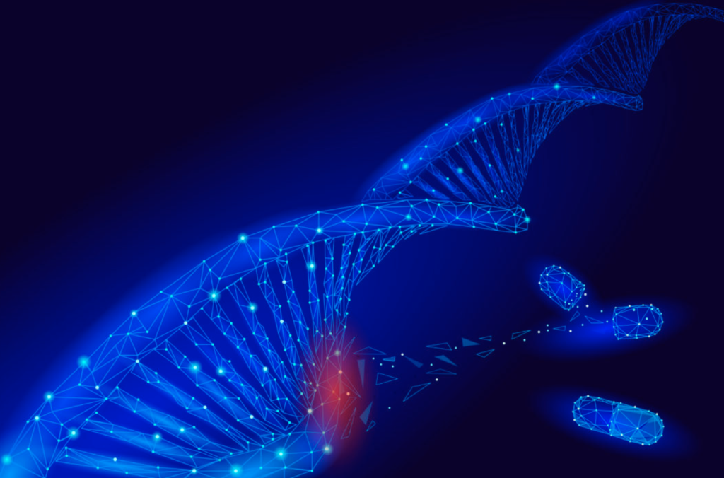 Screen Shot 2021-02-06 at 12.28.54